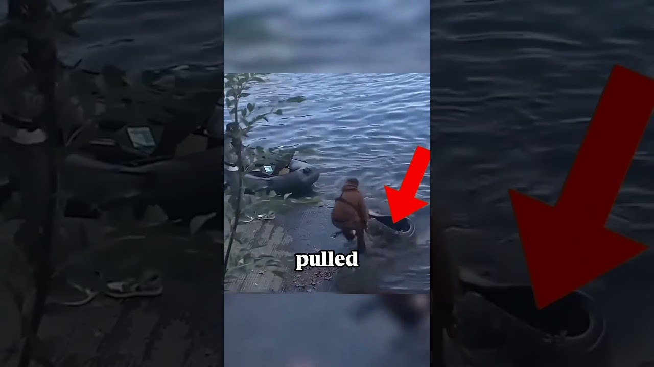 Guy catches 100kg fish barehanded?! 😱 #Shorts