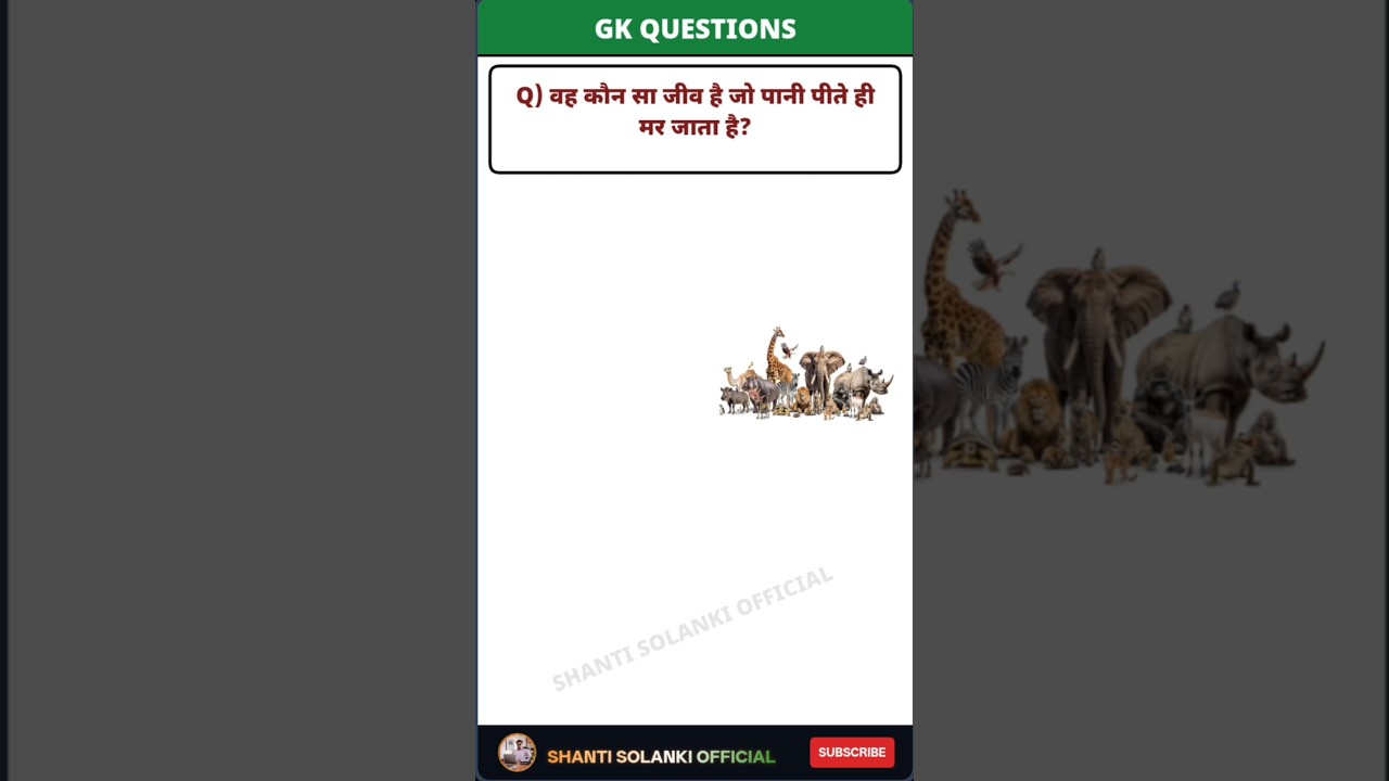 gk ssc|gk quiz |gk question|gk in hindigk|quiz in hindil #sarkarinaukarigk #rkgkgsstudy #education
