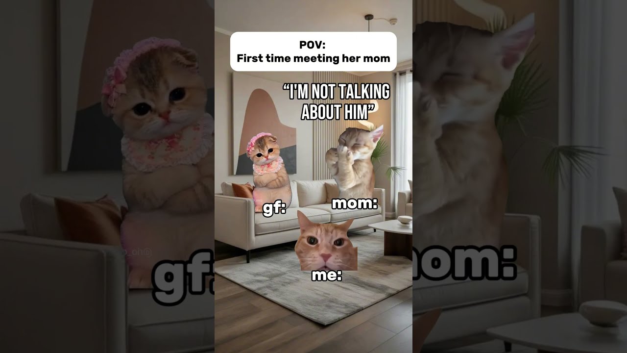 POV: First time meeting her mom 😭💀 #shorts  #catmemes  #relatable #cat