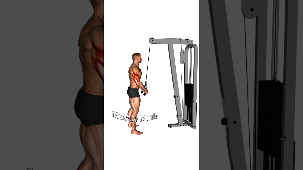 💀 Explode Your Triceps with This Workout! 🔥