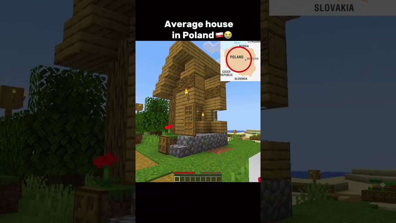 Every house in Poland be like 🇵🇱💀 #shorts #minecraft