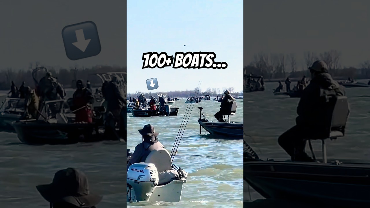 I Fished Wisconsin’s MOST PRESSURED Lake… 😬🎣 #fishing