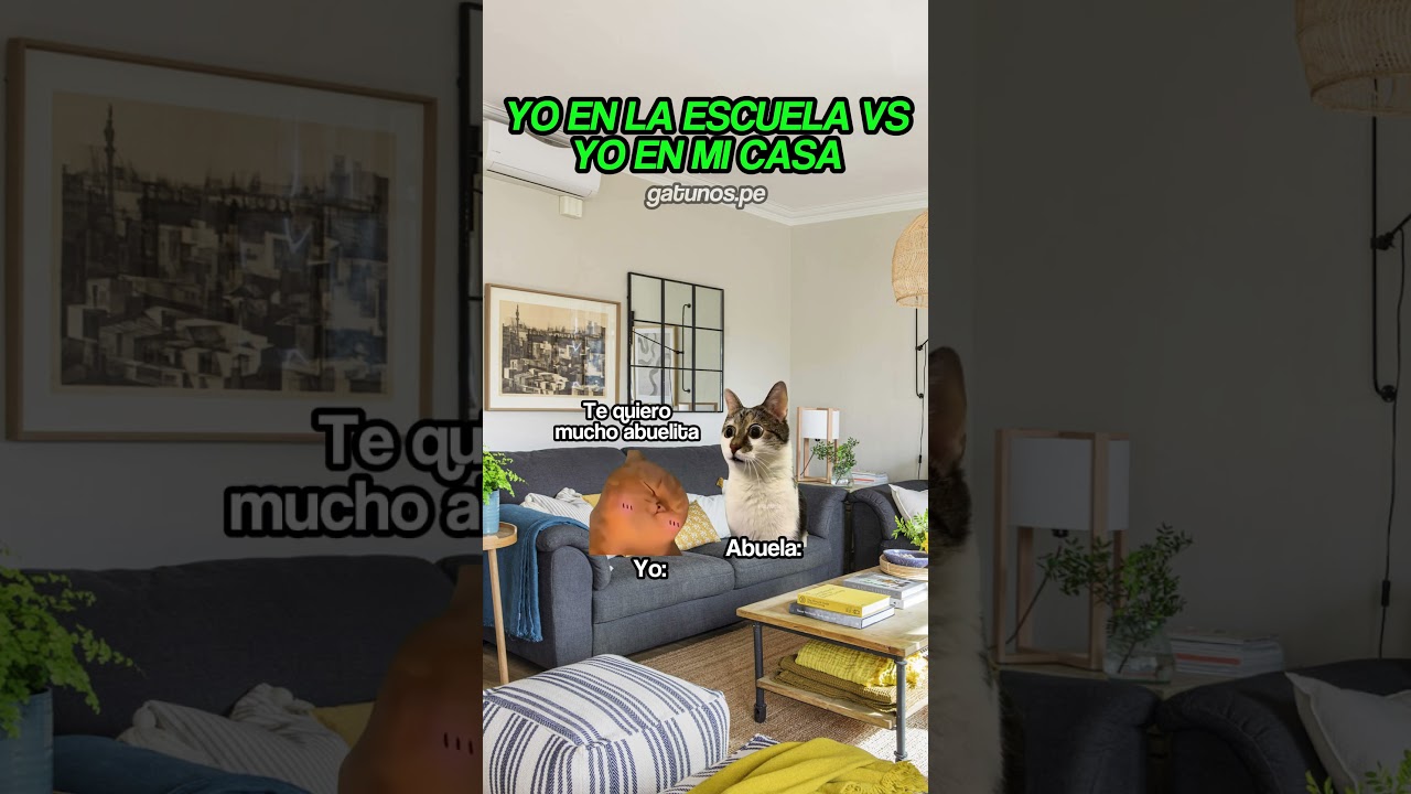 😂 #gatitoslindos #storytime #cat #gato #funnyvideo #fyp #memes #humor #michis #viral