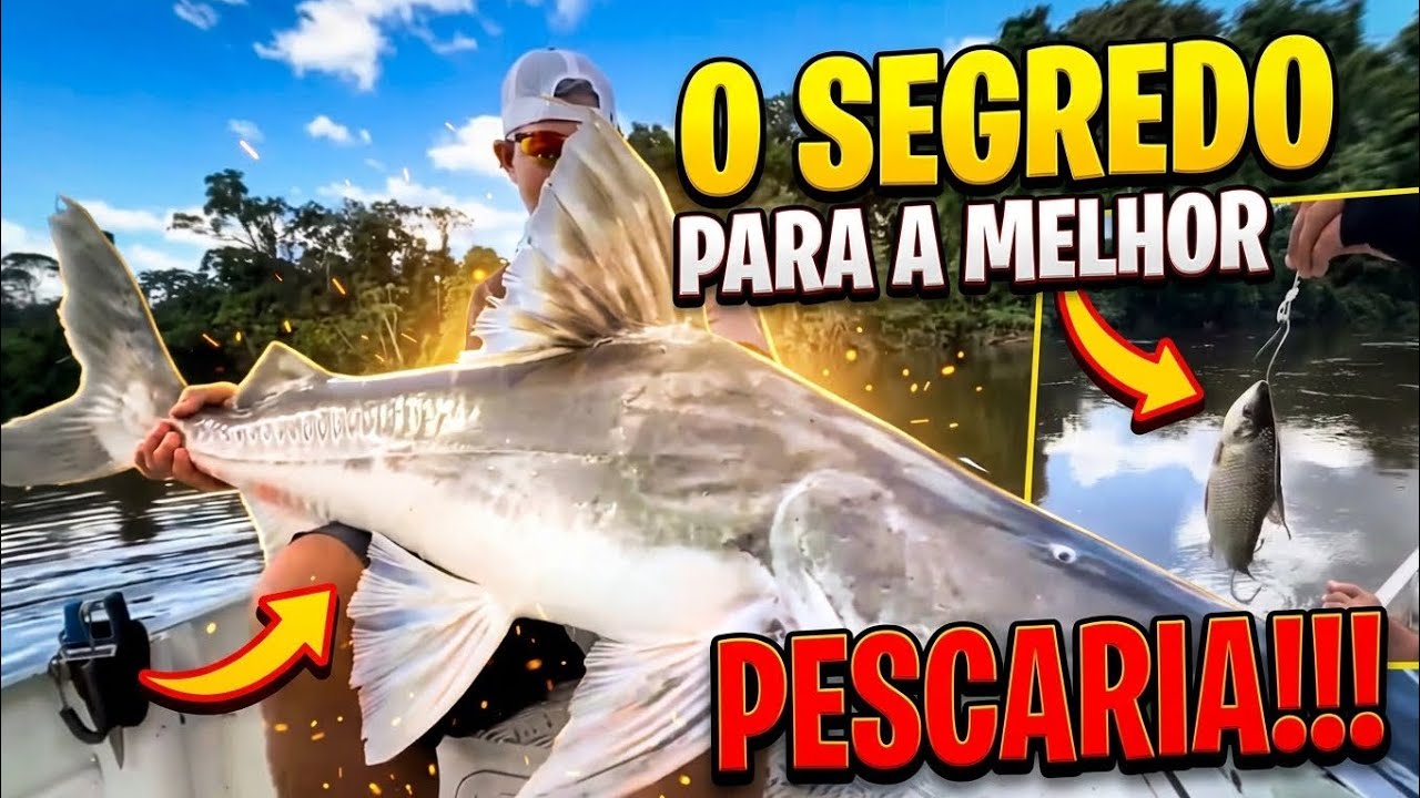O SEGREDO PARA A PESCARIA DE GRANDES PIRAÍBAS
