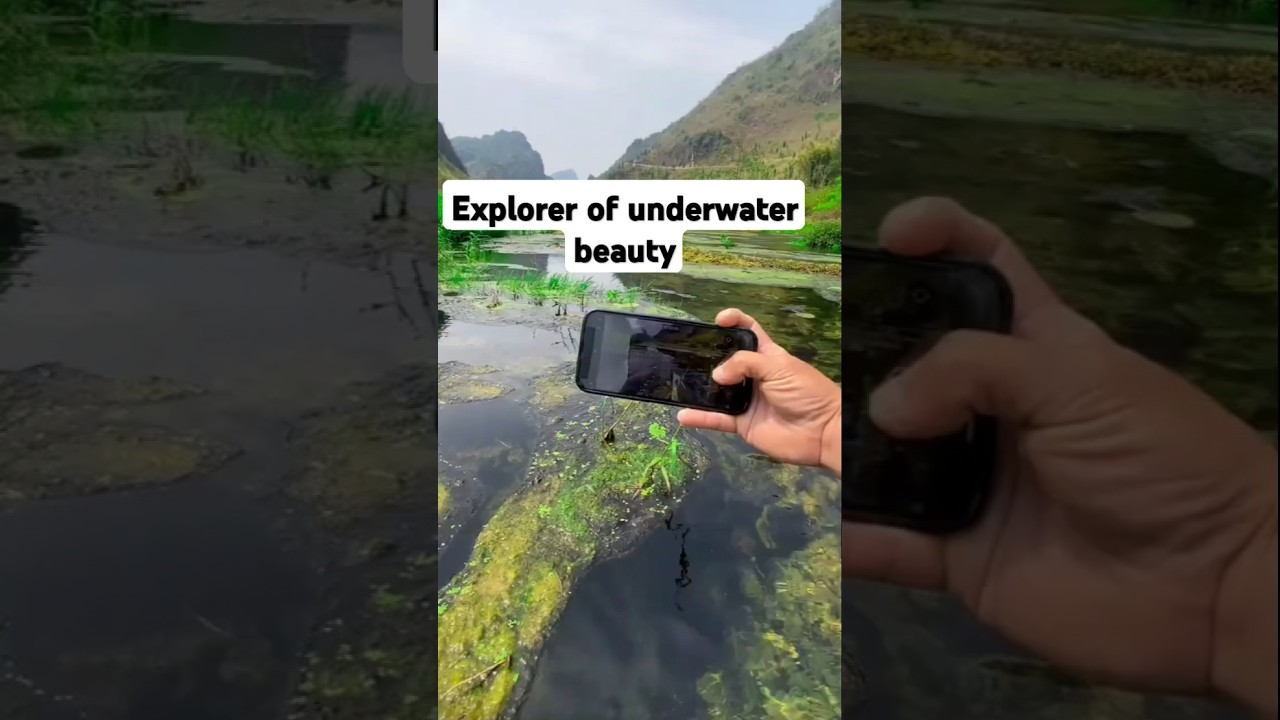 Diving Into The Future Of Underwater Photography #shorts