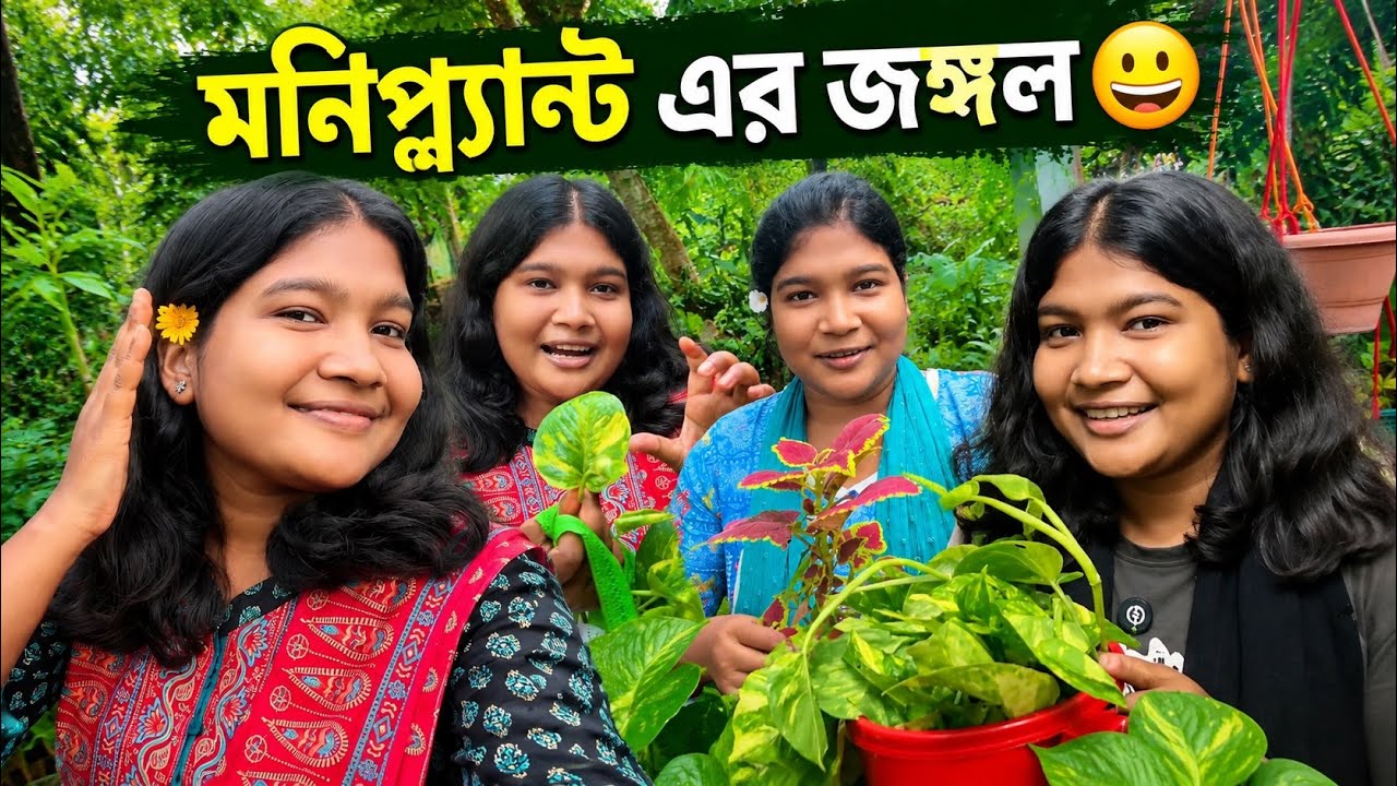 এইটা কি মনিপ্লান্ট আর জঙ্গল ‼️😃💰 || #moneyplant #bangla_vlog #villagelife #gardening 