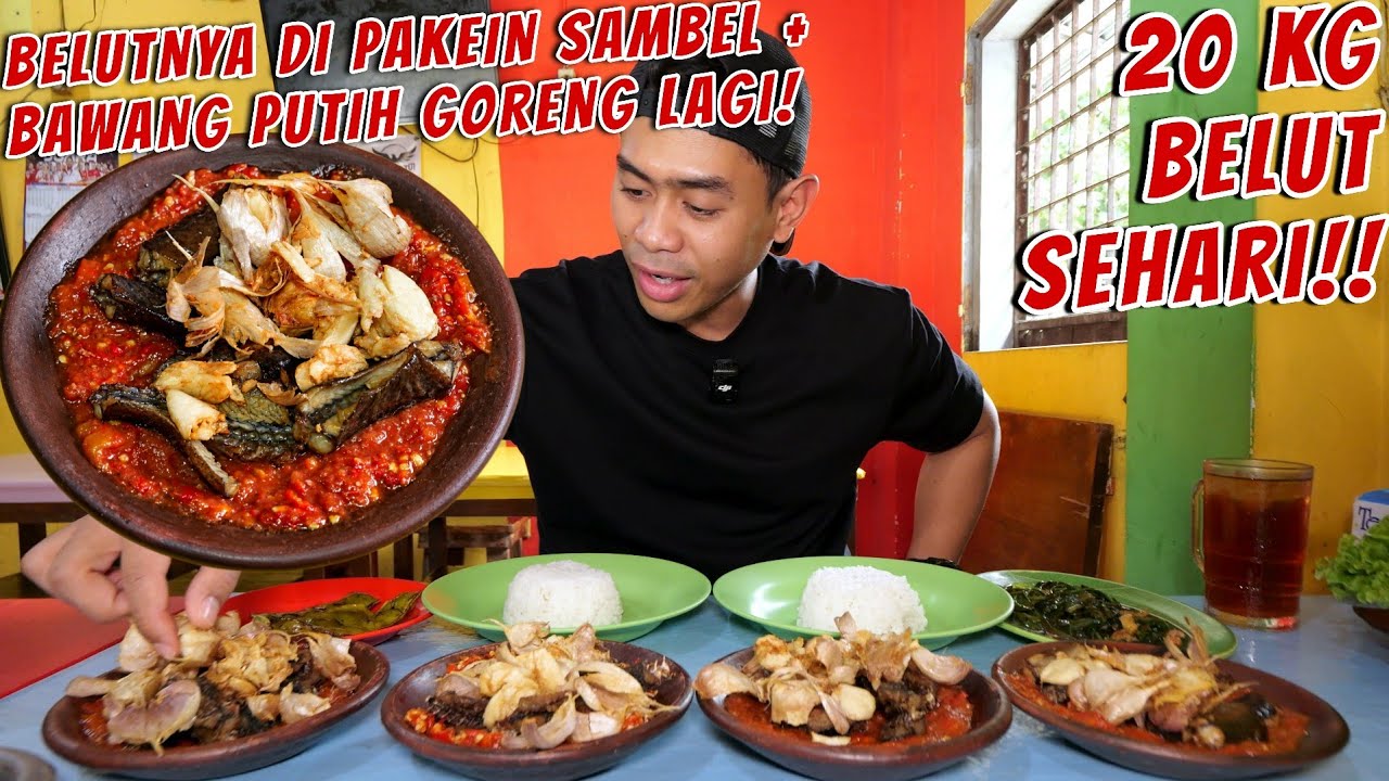 NEMU BELUT GORENG DI PAKEIN SAMBEL + BAWANG PUTIH GORENG!! SEHARI HABIS 20 KG BELUT!!!