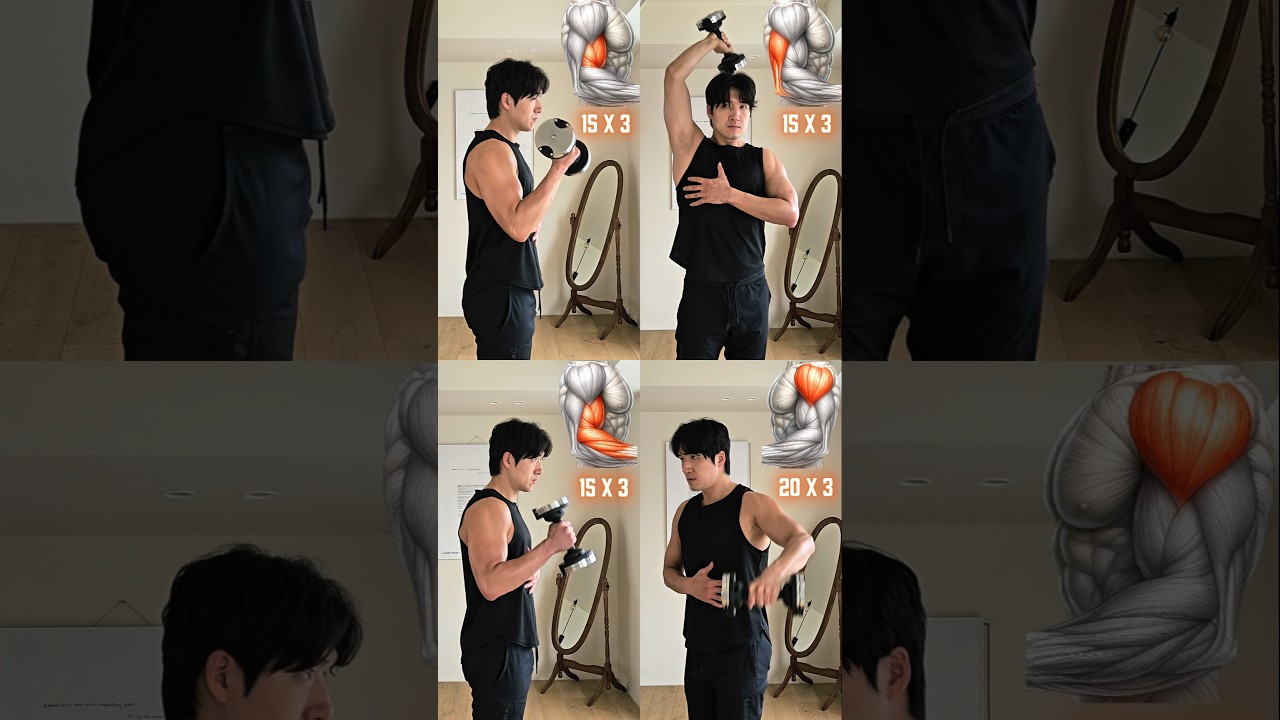 덤벨을 이용한 팔 운동 💪#오운완 #팔운동 #홈트