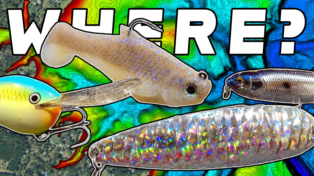 Where Do Bass Go When Its HOT?! ( And How To Catch Them )