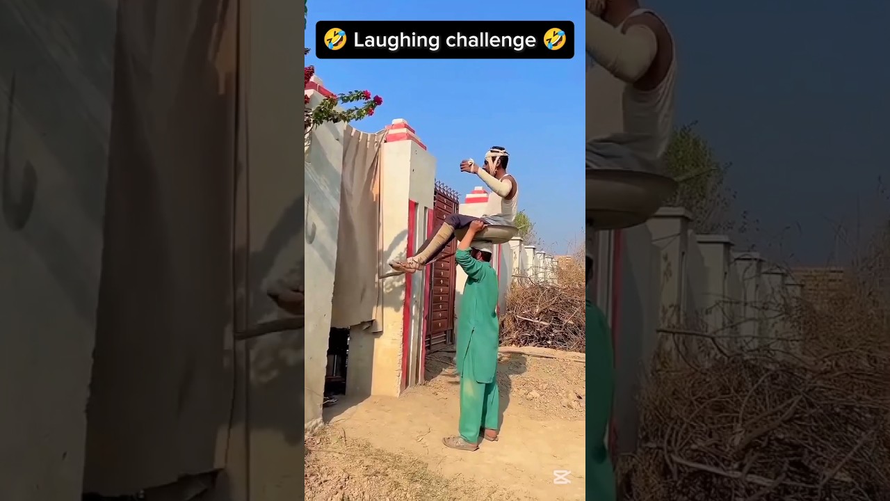 Try Not to Laugh Challenge 230 🤣 | FunFacts #funny #challenge
