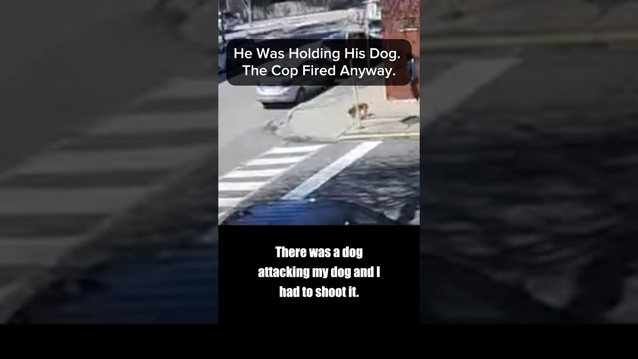 He Was Holding His Dog. This Cop Fired Anyway.
