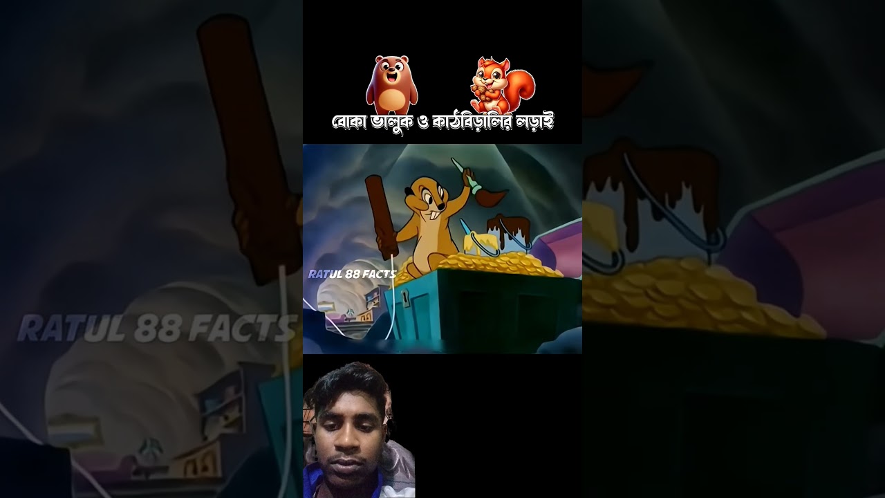 বোকা ভাল্লুক ও কাঠবিড়ালির লড়াই #3danimation #facts #8millionviews #funny #anime #cartoon #memes