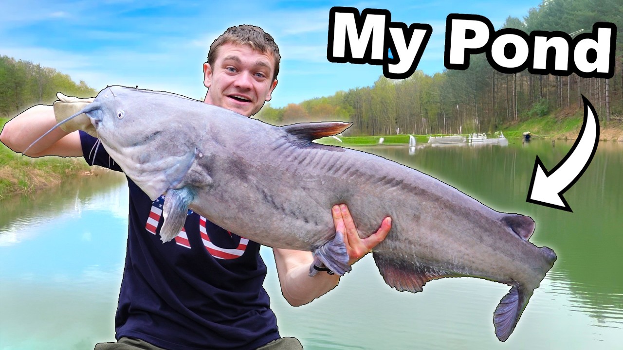 I Caught The Giant 80lb Catfish in My Pond!