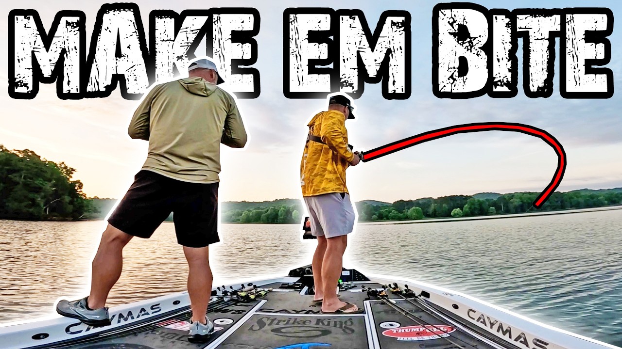 Fishing The Fall Transition Trap on Lake Guntersville (Do This!)