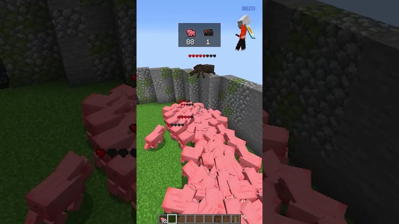 Rinha de Mobs 13 #minecraft