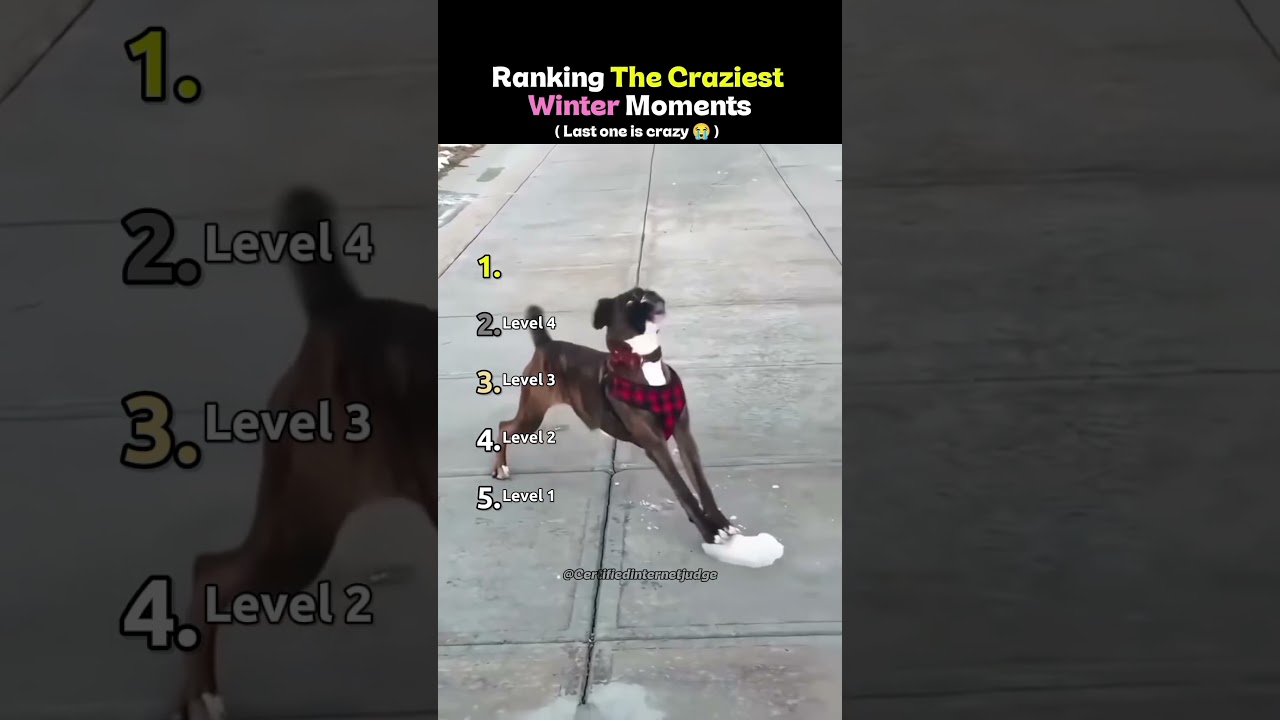 The Verdict: Top 5 the craziest winter Moments ☃️❄️