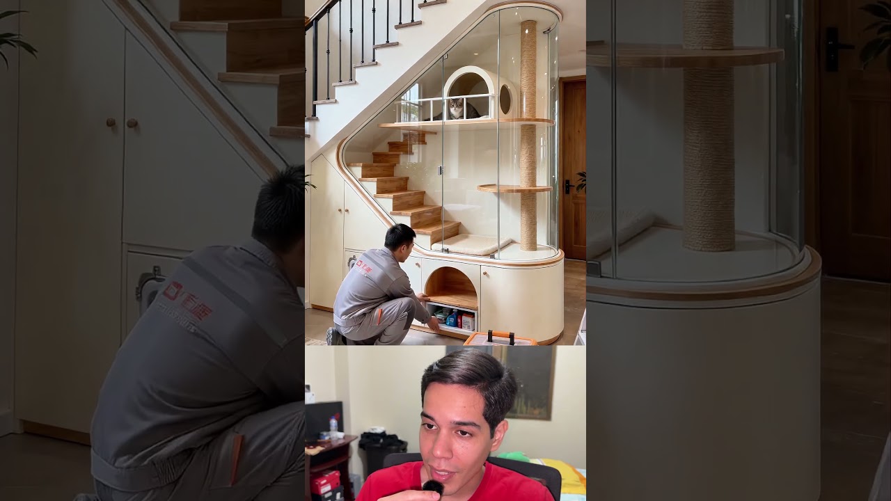 De espacio desperdiciado a la habitación de gato
