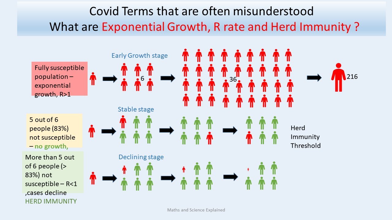 What are Exponential Growth, R rate and Herd  Immunity ? - misunderstood Covid terminology