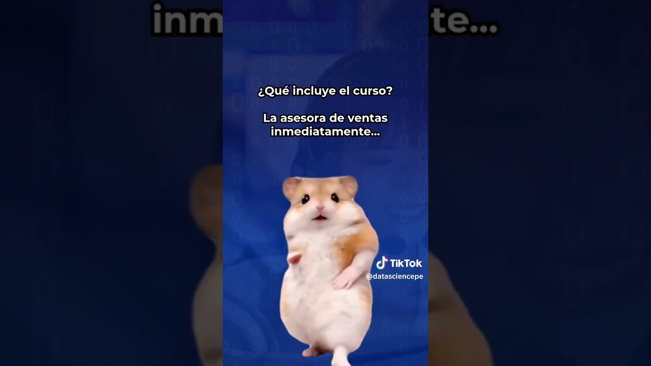 Bailecito motivacional incluido… y de paso te encamino al futuro en data 💃📊😏