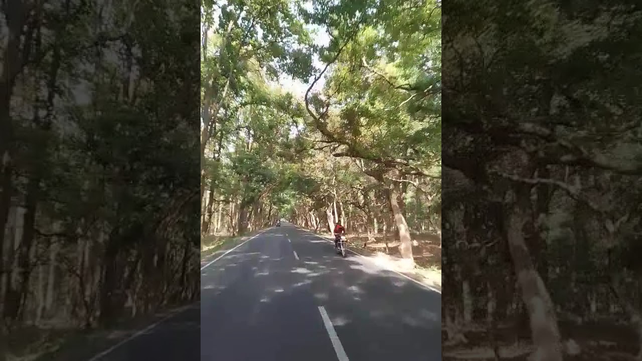 beauty of the earth ✅ #shortvideo #beuaty #travel #nature #love #vlog #song #lifeisbutadream #sorts