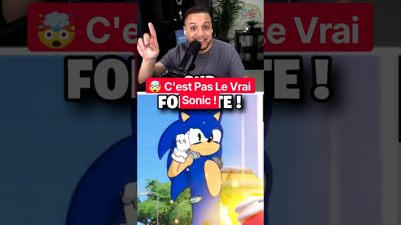 C'est Pas Le Vrai Sonic !