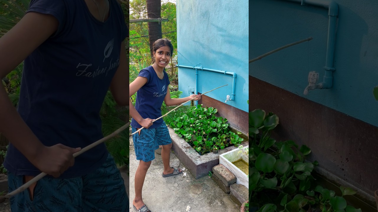 minipond se puja pakerliya eel machli🐍😲(1543) hook fishing video in village #hookfishing