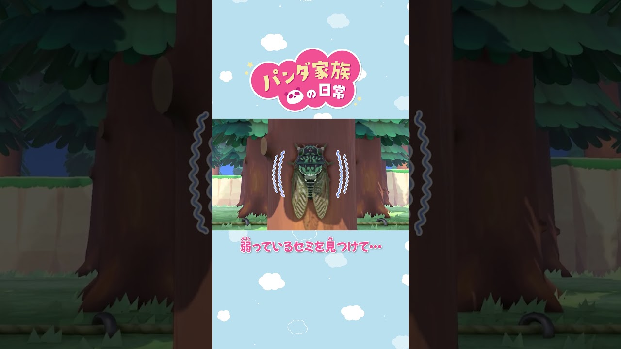 【あつ森アニメ】弱っているセミを見つけて・・・ #Shorts #あつ森