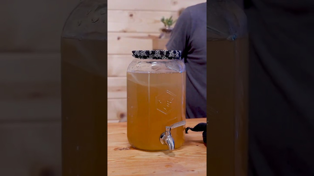 Stop Buying Kombucha (Brew It Instead)