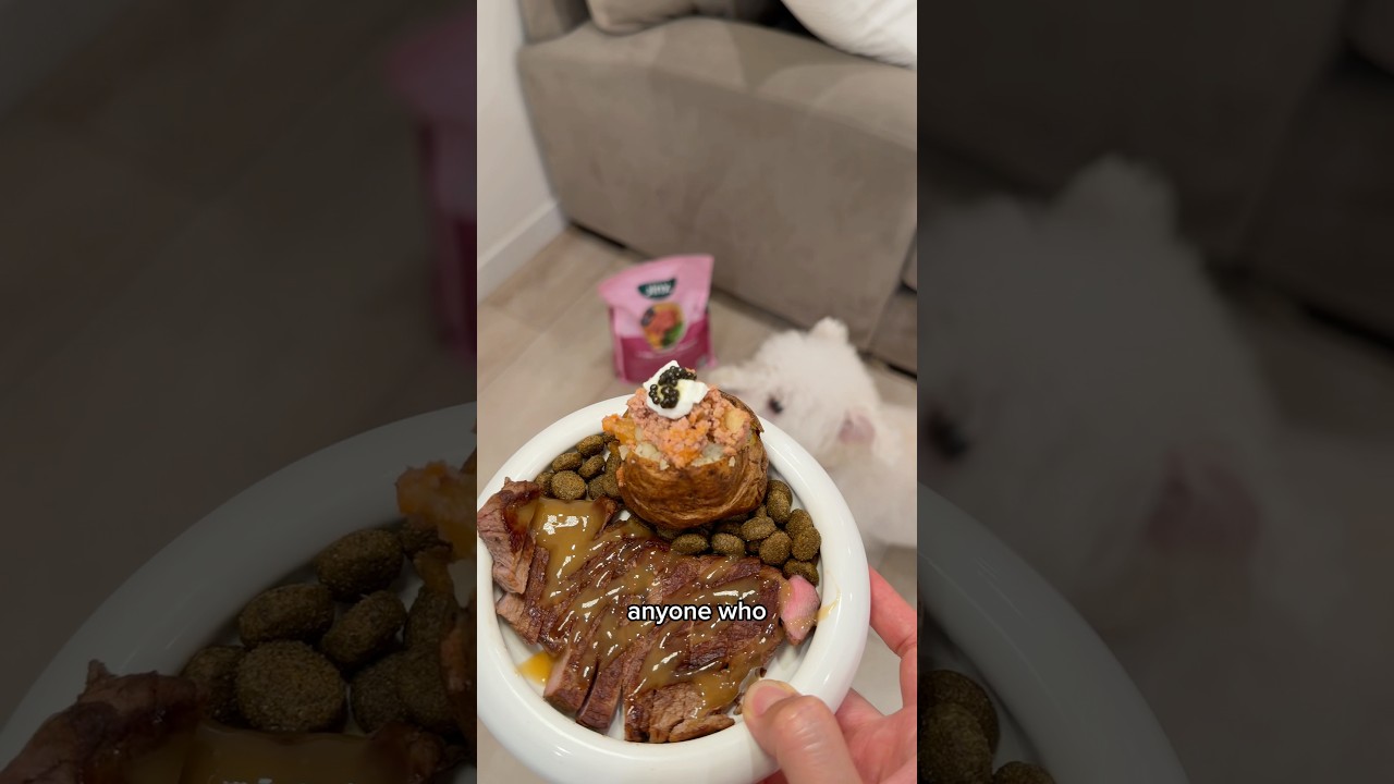 DOGGY STEAK PLATE 🥩🥔🐾