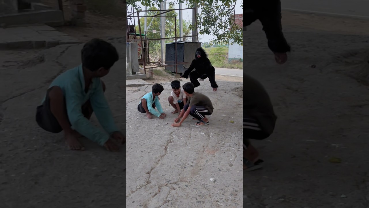 Gorilla🦍prank😂😁…#comedy #gorilla #viralvideo #prankvideo #popular #viral #explore #prankvideo