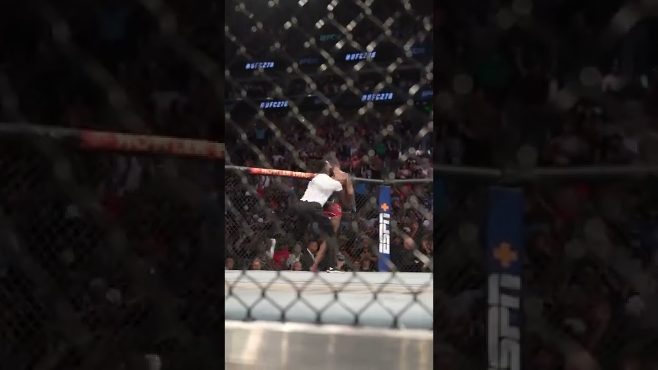 Holly S**T❗️ #ufc278 #mma