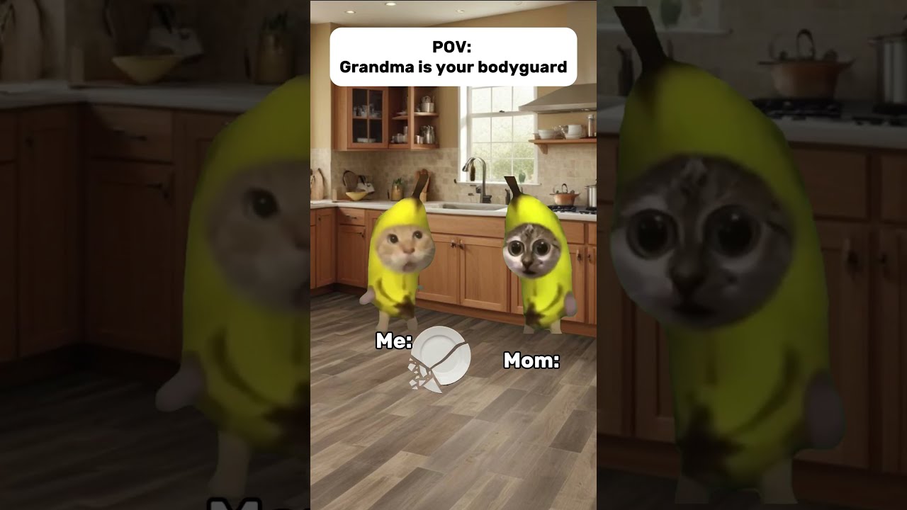 POV: Grandma is your bodyguard 😭👵🛡️ #shorts #catmemes  #relatable #cat #funny #memes