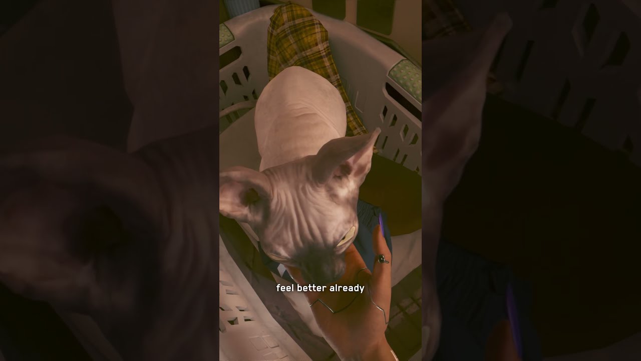Happy International Cat Day to all the amazing feline companions! 🐱  #cyberpunk2077 #cat