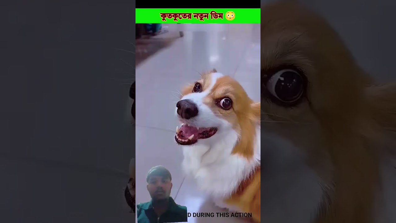 Survival Skills: SIMPLE and USEFUL #bushcraft #camping #outdoor