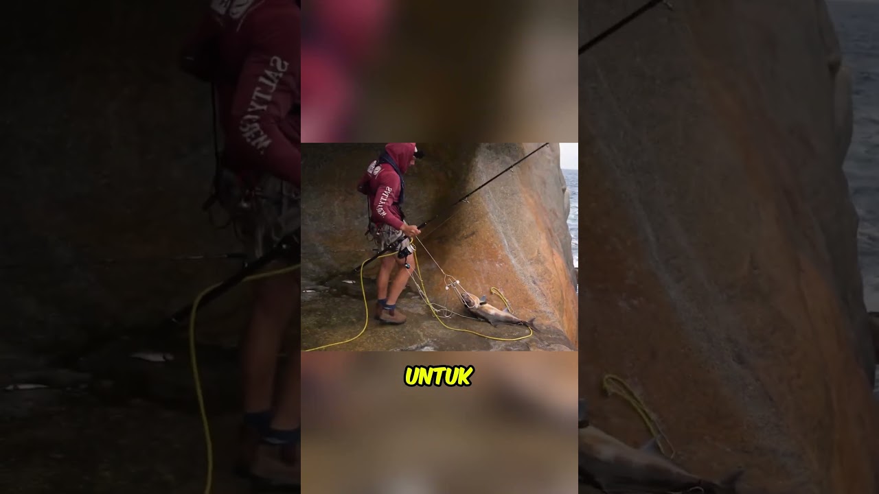Pria Ini Nekat Tinggal di Gua Tebing Demi Mancing, Hasilnya Bikin Iri!  #fishing #treasuresearch