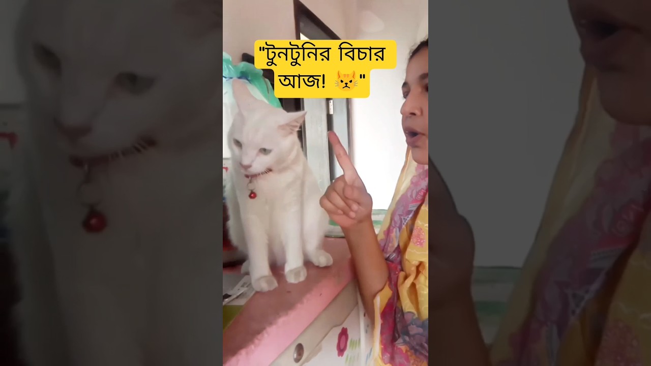 "সালোয়ারের উপর পর্টি করে ধরা খেল টুনটুন 😂 | Keya's Daily Vlog"  #shorts #Catshorts