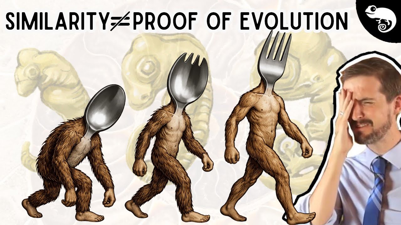 Evolutionary Biologist Reacts to Creationist Arguments