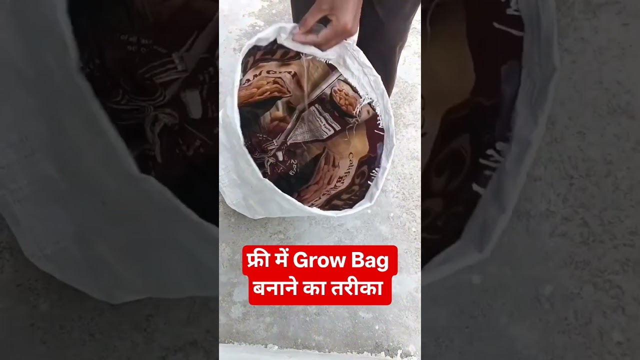 फ्री में Grow Bag बनाने का तरीका #shorts# trending #viral #makegrowbag