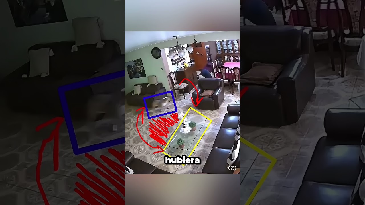 El perro no sabía que la cámara lo veía #funny #prank