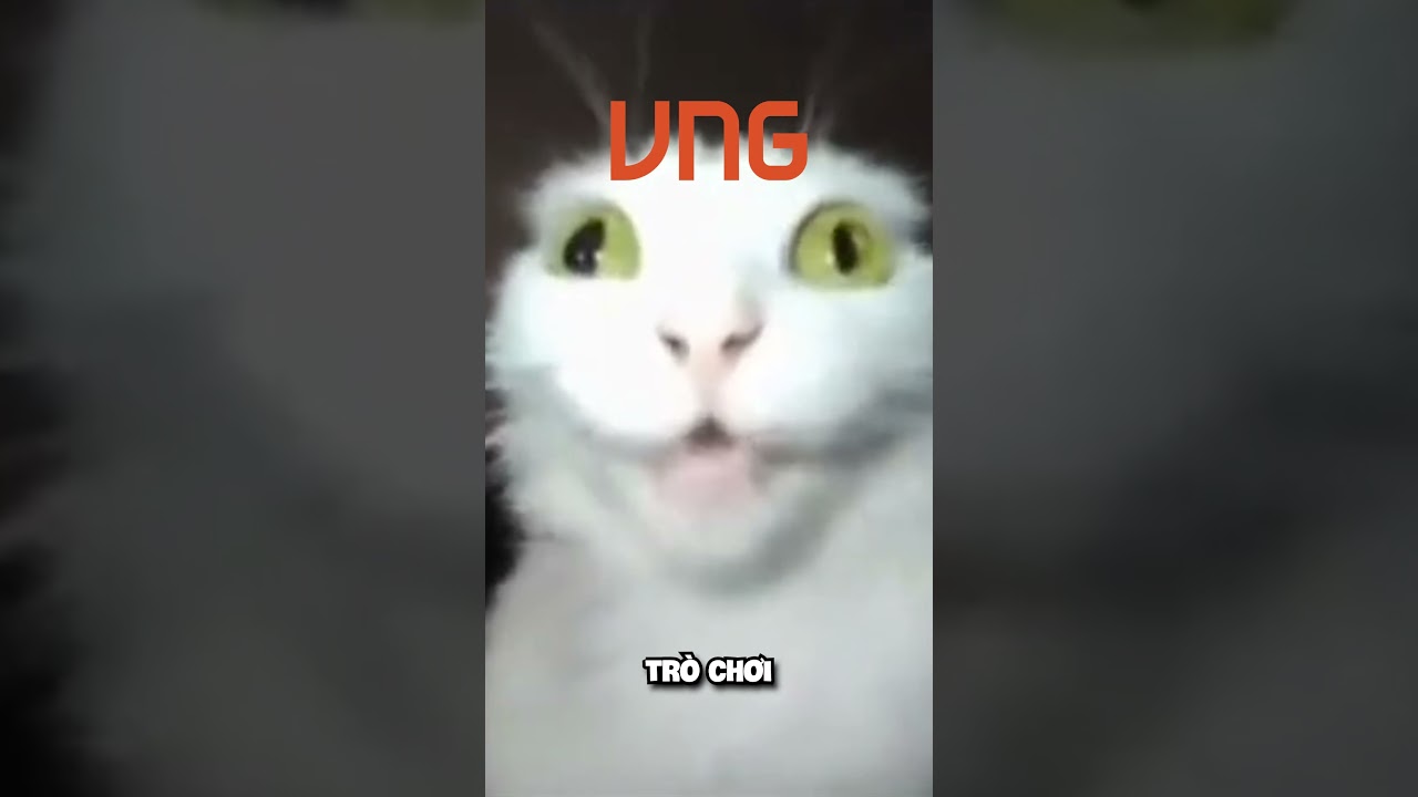 roblox vng: "21 tuổi vẫn là kid" =))))) #roblox #thinhne