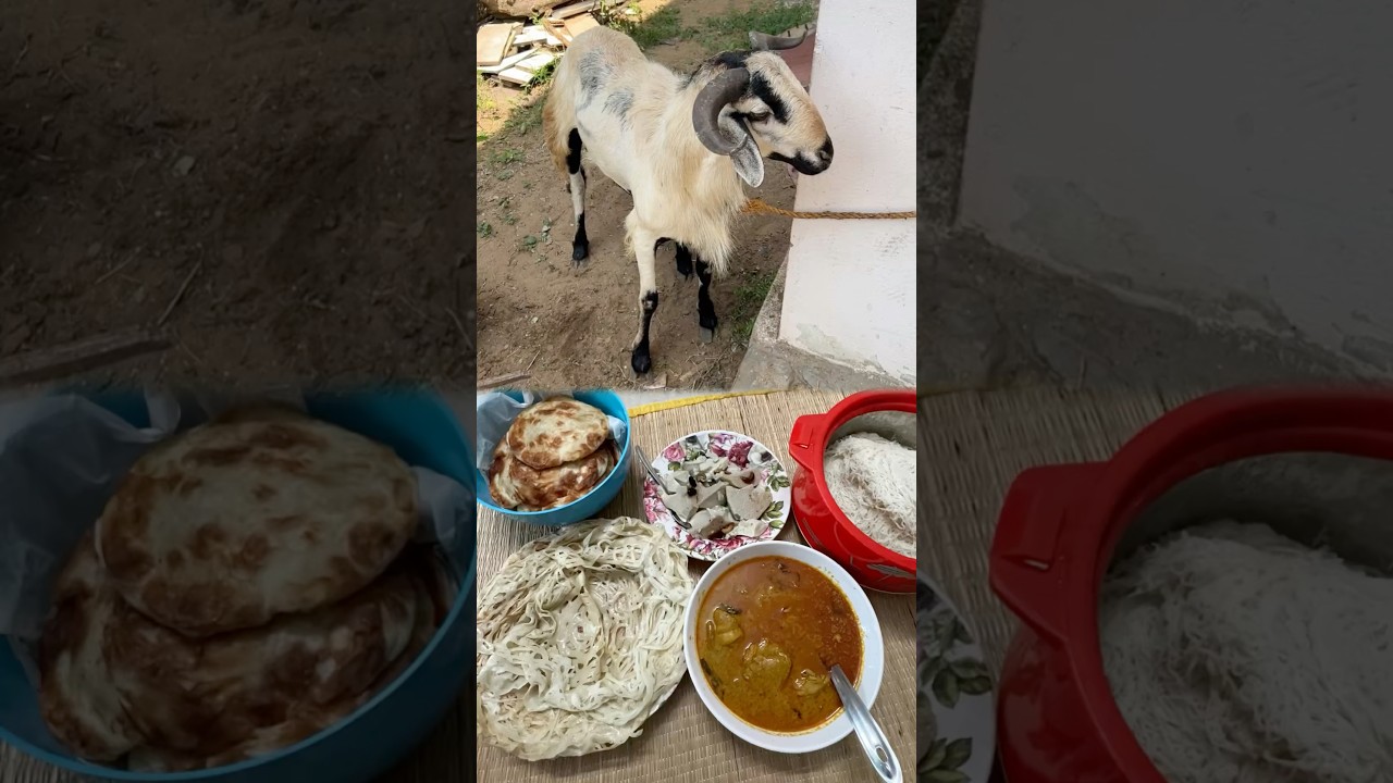💢Eid Vlog📸#mrmohamed #food #foodie #cooking #eid #eidmubarak #eidspecial #mutton #chicken #shorts