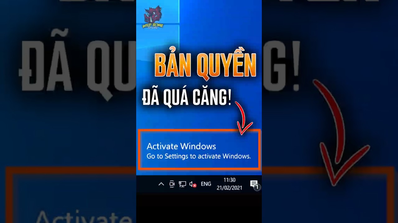 Vấn đề BẢN QUYỀN đã Quá CĂNG! Phải làm sao? #120yenlang #wbpc #wildboarstore