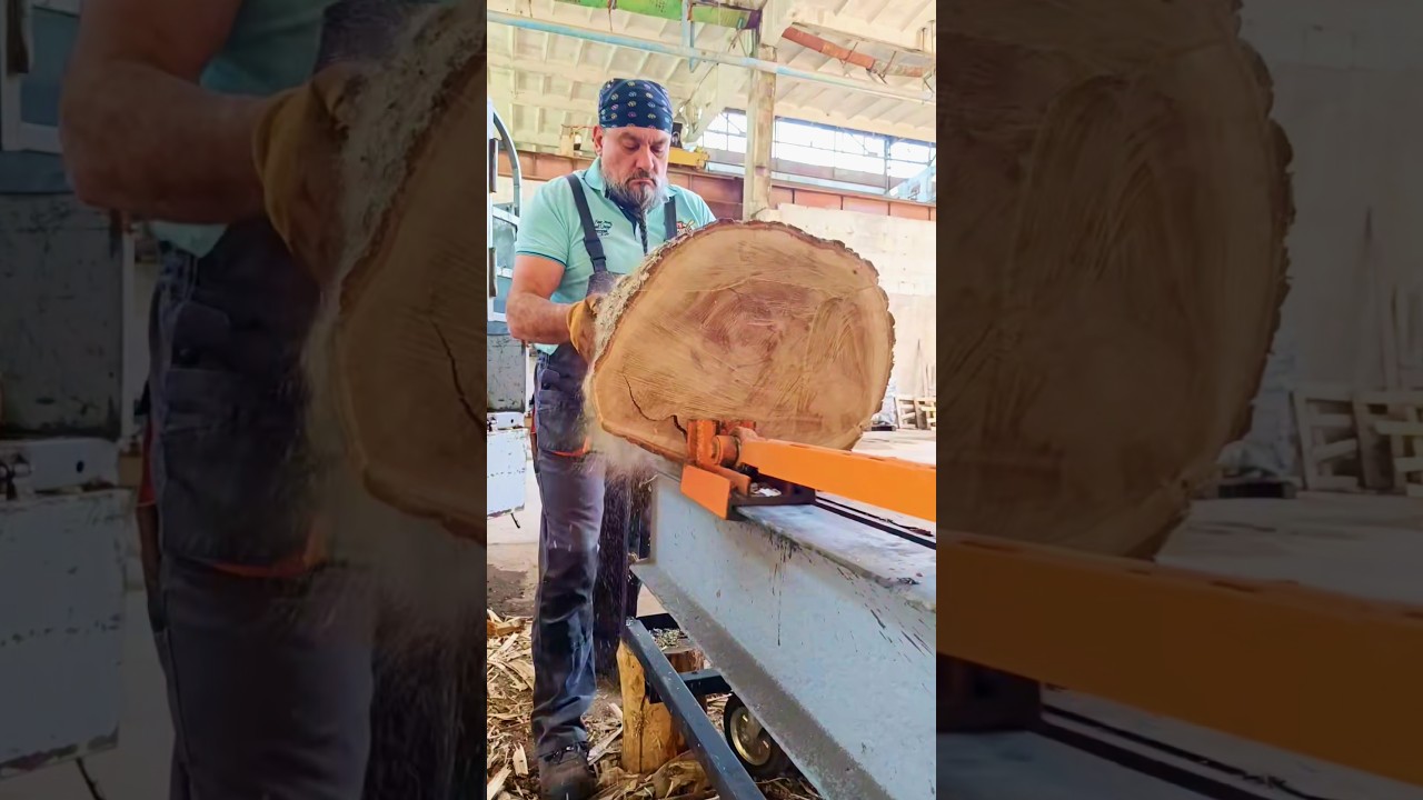 Master-Level Wood Splitting Skills 😍 #shorts #woodworking
