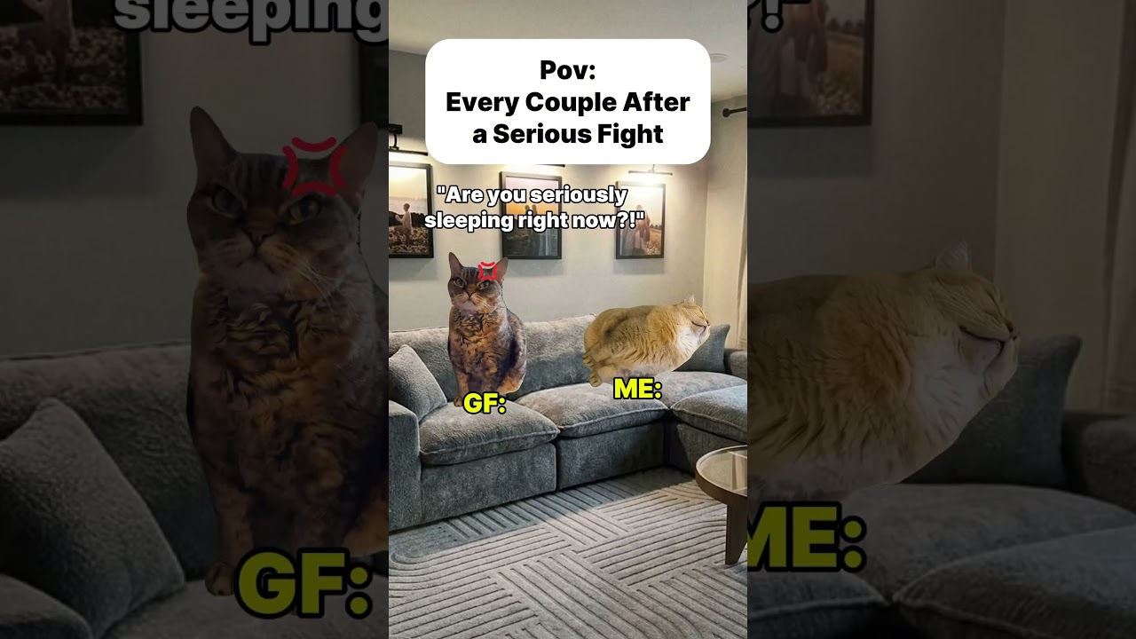 Every couple 5 minutes after a serious fight 😭💀 #shorts  #couplehumor  #cat #relatable #memes