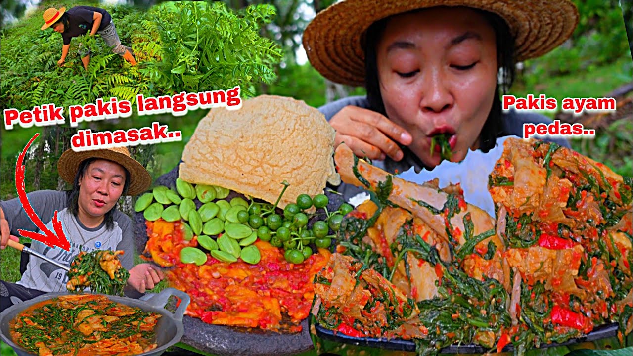 METIK PAKIS LIAR LANGSUNG DiMASAK DAN MAKAN 🤤‼️PAKIS AYAM PEDAS 🔥🥵