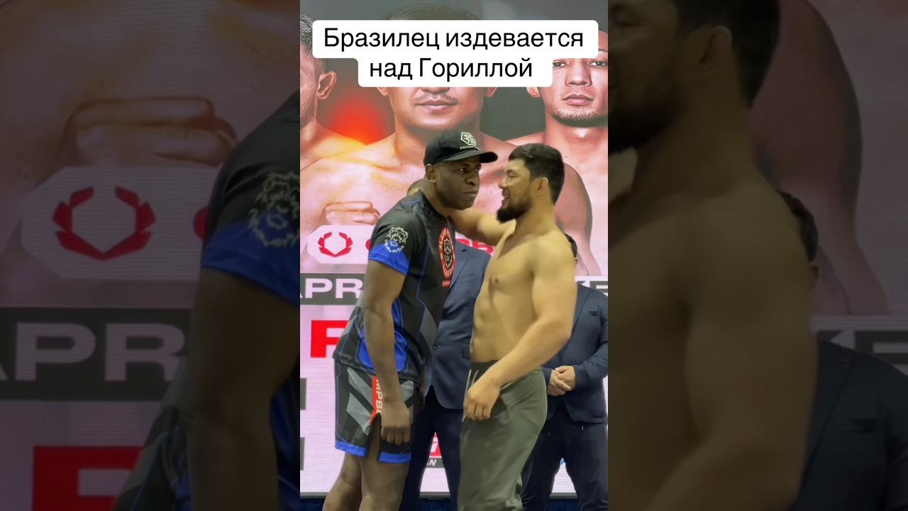 Горилла шоке #ufc #muradaov #mma #хонор #мма #харидуз #абдукариммирзаев #элдосалмазов #бой