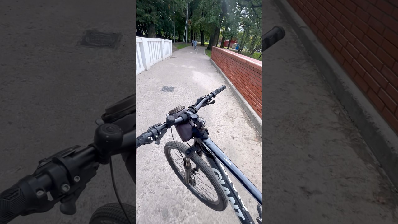 АНОМАЛЬНАЯ ЗОНА НА ВЕЛОДОРОЖКЕ #shorts