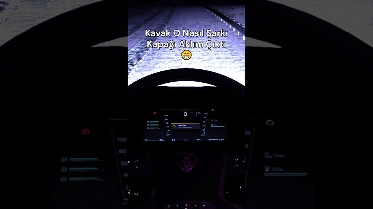 Kanınız Bozuk Olmasında Gerisi Önemli Değil :) #s4hin61 #tmp #eurotrucksimulator2 #truckersmp #kick