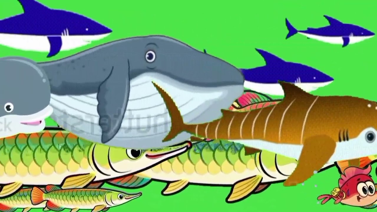Cartoon Fish | Green screen aquatic animal invasion video compilation‼️
