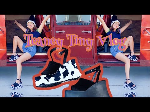 Vlog | DIY Cowprint Platforms | Van Build Updates